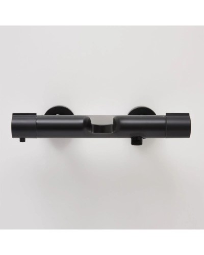 Термостат для ванны WasserKRAFT Elbe 7411