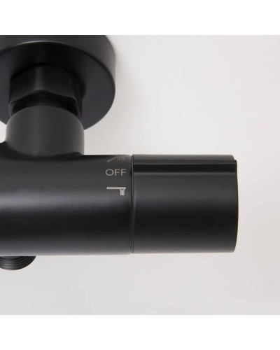 Термостат для ванны WasserKRAFT Elbe 7411