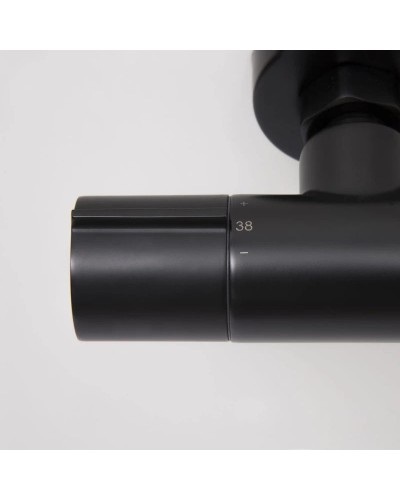 Термостат для ванны WasserKRAFT Elbe 7411