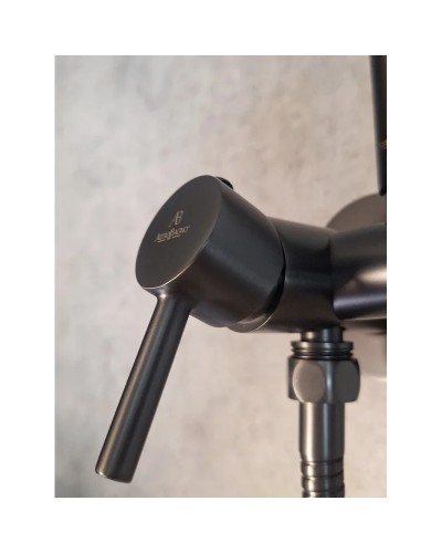 Гигиенический душ AltroBagno Modern 060118GrMt со смесителем, оружейная сталь