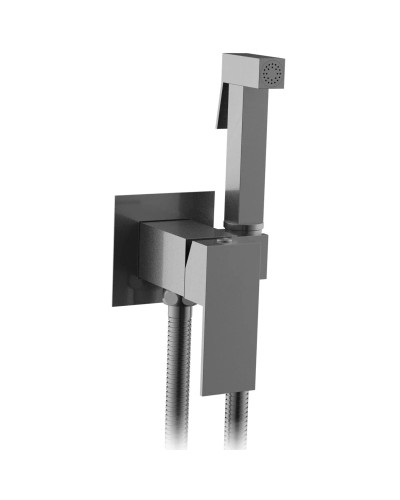 Гигиенический душ AltroBagno Beni aggiuntivi AltroBagnoBM060121GrMt со смесителем, оружейная сталь