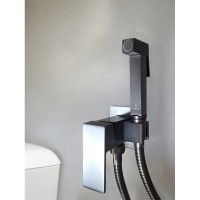 Гигиенический душ AltroBagno Beni aggiuntivi AltroBagnoBM060121GrMt со смесителем, оружейная сталь