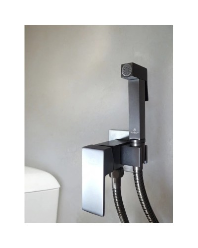 Гигиенический душ AltroBagno Beni aggiuntivi AltroBagnoBM060121GrMt со смесителем, оружейная сталь