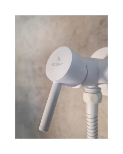 Гигиенический душ AltroBagno Modern 060124BiOp со смесителем, белый матовый