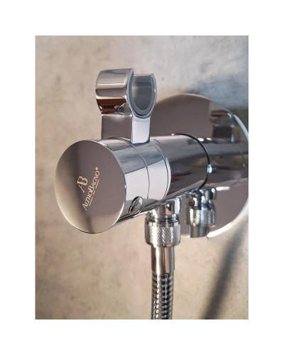 Гигиенический душ AltroBagno Beni aggiuntivi AltroBagnoBM060401Cr с термостатом, хром