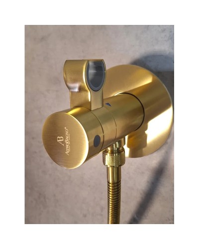 Гигиенический душ AltroBagno Beni aggiuntivi AltroBagnoBM060403OrSp с термостатом, золотой матовый