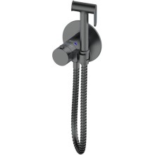 Гигиенический душ AltroBagno Beni aggiuntivi AltroBagnoBM060404GrMt с термостатом, оружейная сталь