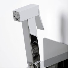 Гигиенический душ со смесителем WasserKRAFT Aller 10638 Хром