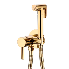 Смеситель встраиваемый с гигиеническим душем RIMERO RM010GO (Золото)
