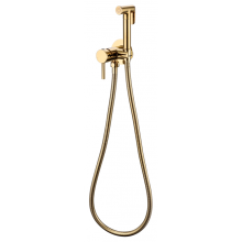 Смеситель встраиваемый с гигиеническим душем RIMERO RM010GO (Золото)