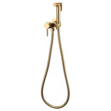 Смеситель встраиваемый с гигиеническим душем RIMERO RM010GO (Золото)