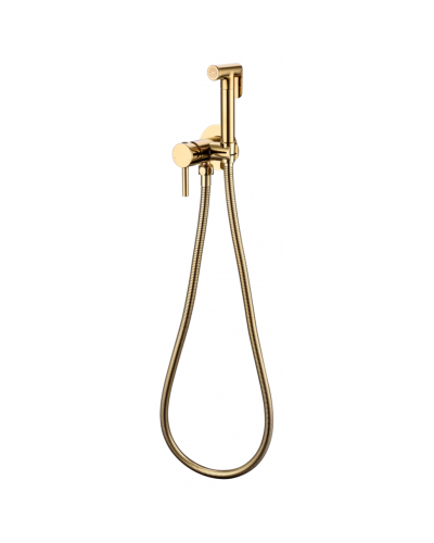 Смеситель встраиваемый с гигиеническим душем RIMERO RM010GO (Золото)