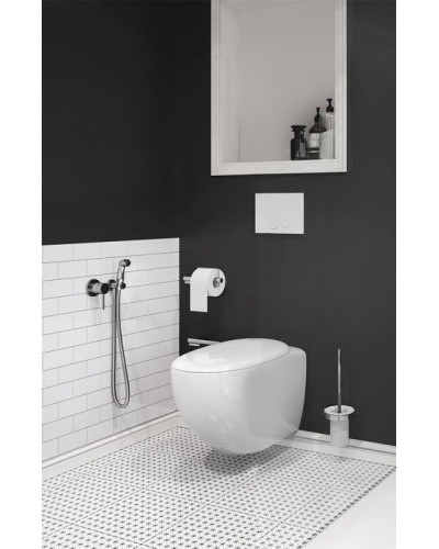 Гигиенический душ со смесителем Kludi Bozz 389990576 Хром