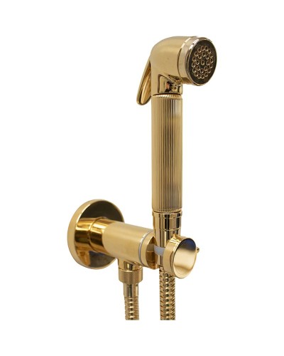 Гигиенический душ со смесителем Bossini Nikita E37008B.021 Золото