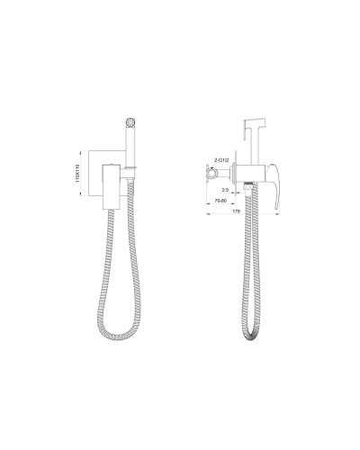 Смеситель с гигиеническим душем встраиваемый WONZON & WOGHAND, Брашированное золото (WW-88829009-BG)