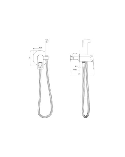 Смеситель с гигиеническим душем встраиваемый WONZON & WOGHAND, Брашированное золото (WW-88829010-BG)