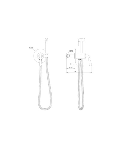 Смеситель с гигиеническим душем встраиваемый WONZON & WOGHAND, Брашированное золото (WW-88829008-BG)