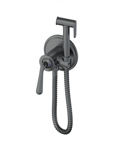 Смеситель с гигиеническим душем встраиваемый WONZON & WOGHAND, Темный графит (WW-88829008-BGM)