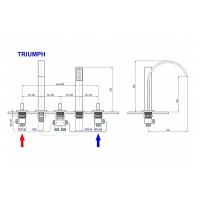 Смеситель на борт ванны Royal Bath Triumph RB501 Хром