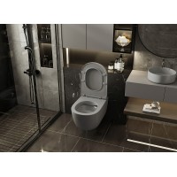 Унитаз Abber Bequem AC1104MG подвесной Серый матовый с сиденьем Микролифт