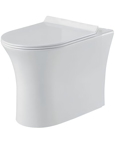 Унитаз BelBagno Ancona BB1224CBR-P приставной без сиденья