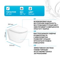 Унитаз Cezares Stylus-Tor CZR-6601-TH-TOR/CZR-870-SC подвесной с сиденьем Микролифт
