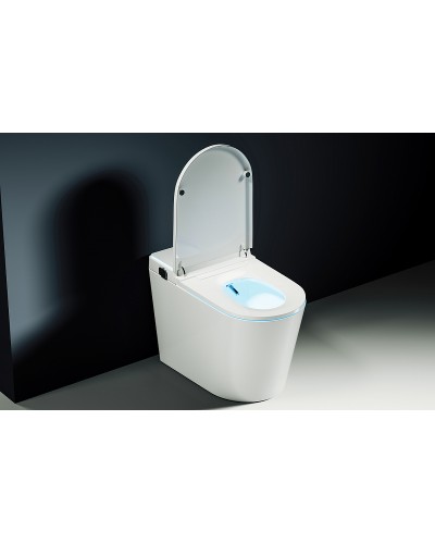 Унитаз биде Abber Bequem AC1117S приставной с сиденьем Микролифт