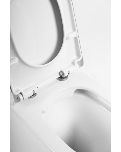 Унитаз BelBagno Flay-R BB1003CBR/BB865SC приставной с сиденьем Микролифт