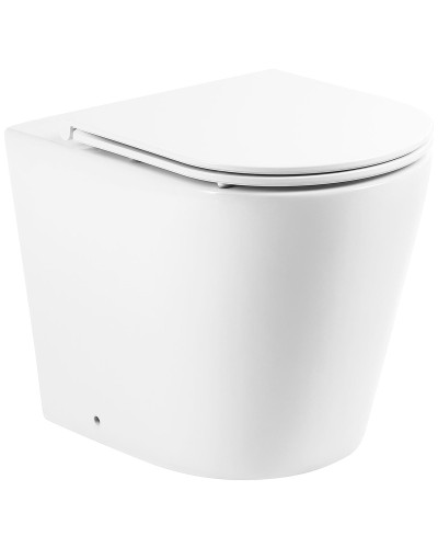 Унитаз BelBagno Flay-R BB1003CBR/BB870SC приставной с сиденьем Микролифт