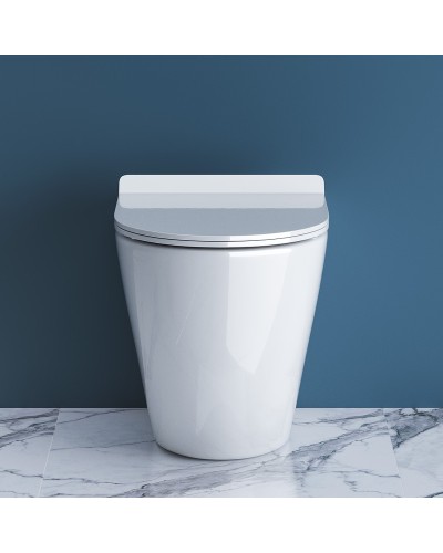 Унитаз BelBagno Sfera-R BB2141CBR/BB2111SC приставной с сиденьем Микролифт