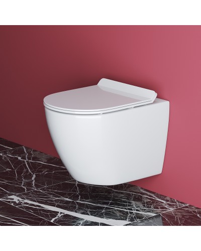 Унитаз Cezares Stylus CZR-513-TH-R/CZR-2011-SC подвесной с сиденьем Микролифт