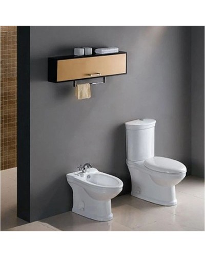 Бачок с двойным сливом 3/6л Cezares Primo CZR-240-T