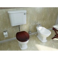 Бачок для унитаза Vitra Efes 6455B003-5077