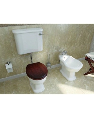 Бачок для унитаза Vitra Efes 6455B003-5077