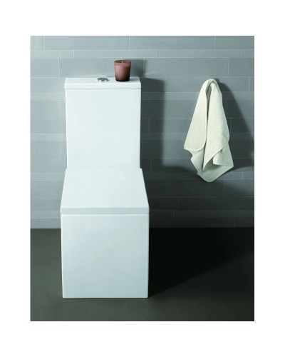 Бачок для унитаза Simas Frozen FZ09bi