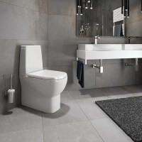 Унитаз-компакт с сиденьем микролифт Sanita Luxe Infinity INFSLCC01040522