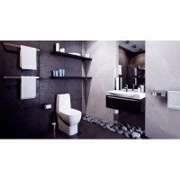 Унитаз-компакт с сиденьем микролифт Sanita Luxe Infinity INFSLCC01040522