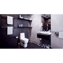 Унитаз-компакт с сиденьем микролифт Sanita Luxe Infinity INFSLCC01040522