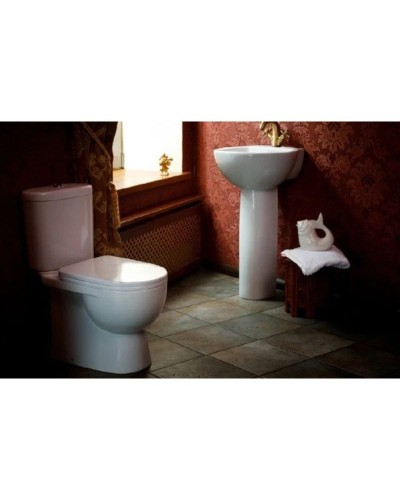 Унитаз-компакт с сиденьем дюропласт Sanita Luxe Art ARTSLCC01020622