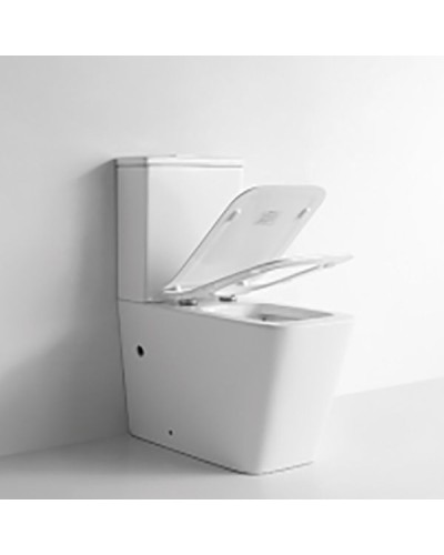 Унитаз компакт CeramaLux NS-2170 с бачком и сиденьем Микролифт