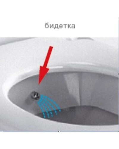 Унитаз-компакт с функцией биде с сиденьем микролифт и с механизмом смыва Geberit Vitra S50 9736B003-7203