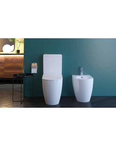 Унитаз биде Creavit Free FE360-00CB00E-0000 Белый без бачка и сиденья