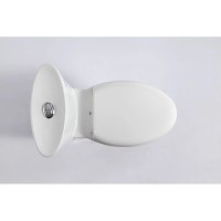 Унитаз-компакт моноблок с сиденьем микролифт SSWW CO1059