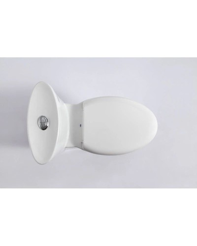 Унитаз-компакт моноблок с сиденьем микролифт SSWW CO1059