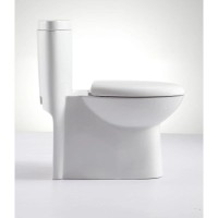 Унитаз-компакт моноблок с сиденьем микролифт SSWW CO1059