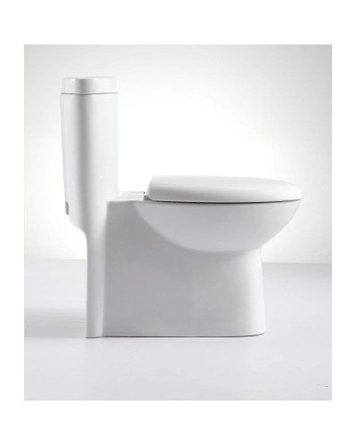 Унитаз-компакт моноблок с сиденьем микролифт SSWW CO1059