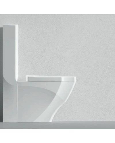 Унитаз-компакт с функцией биде с сиденьем микролифт Bien Fracture FRKK05601VP1W3000TK