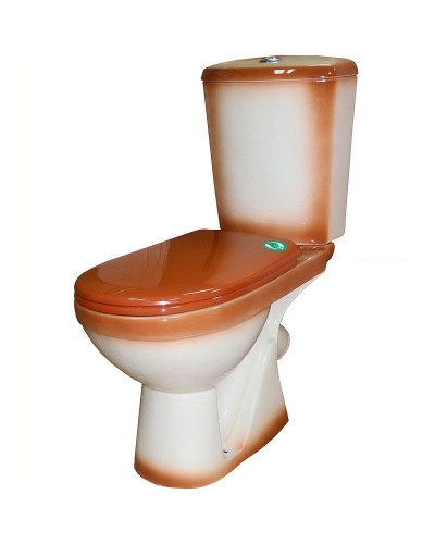 Унитаз компакт Rosa Комфорт 4620008191010 Коричневый декор с бачком и сиденьем