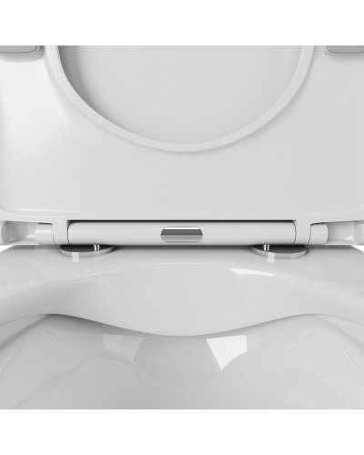 Унитаз компакт Owl 1975 Artic Cirkel-G OWLT190901 без бачка с сиденьем Микролифт