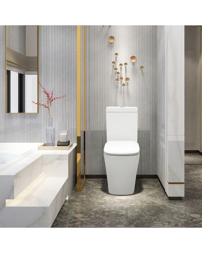 Унитаз компакт Cezares Lux CZR-159-CPR без бачка и сиденья